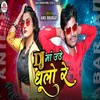 About DJ Ma Ude Dhulo Re Song